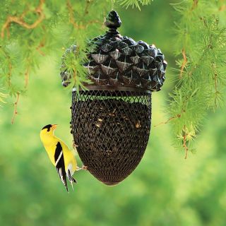 Acorn Shape Black Oil Sunflower Feeder Thumbnail